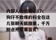 内部人士透露，17c狗仔不敢爆的料全在这几张聊天截图里，千万别点开后果自负！